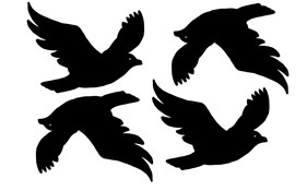 Čajky: klasické čierne nálepky