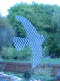 Transparent vták: priesvitné nálepky so šrafovaním